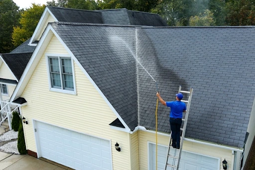 Roof Cleaning