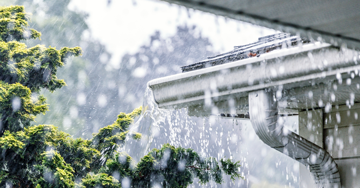 Gutter Cleaning